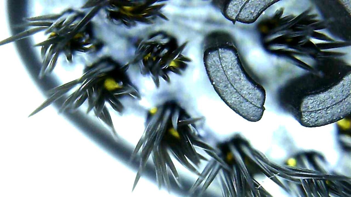 У новой - они острые, чёткие, красивые!