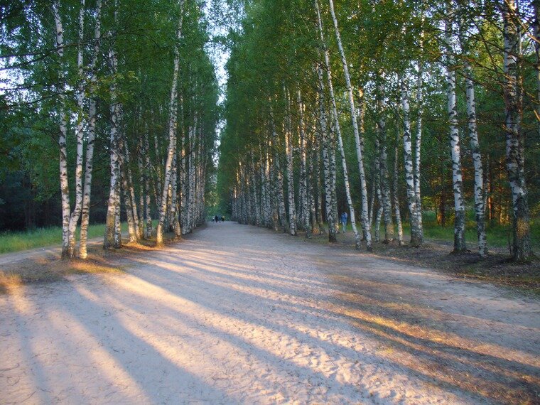К сожалению, ни одной фотографии с поездки не сохранилось. Каким-то чудесным образом они исчезли с цифровика, поэтому пользуюсь всемирной сетью. Фото с интернета.