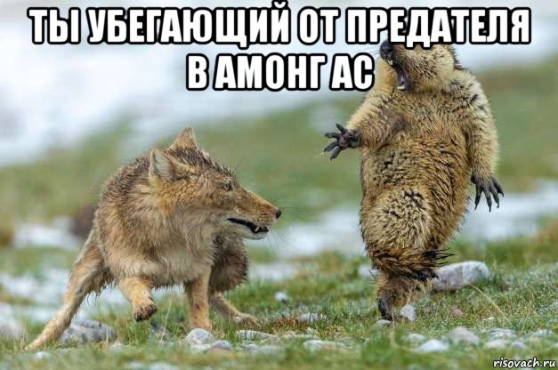 нет я так не бегу .....