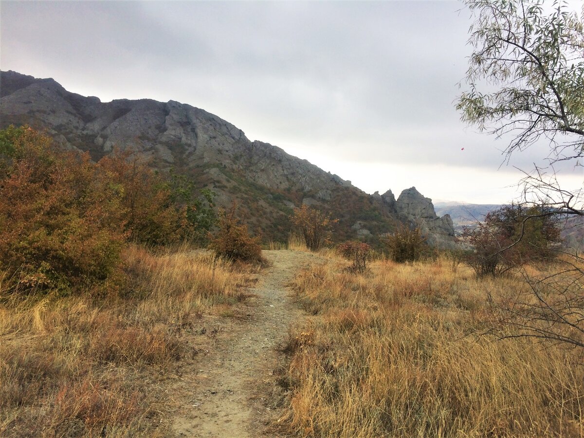 Пейзаж на трассе 35К-005 (P-29) в Крыму