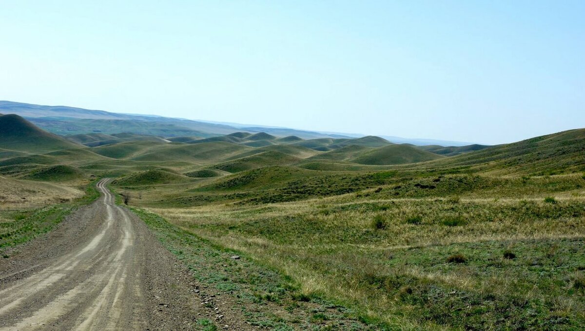 Айтуарская степь