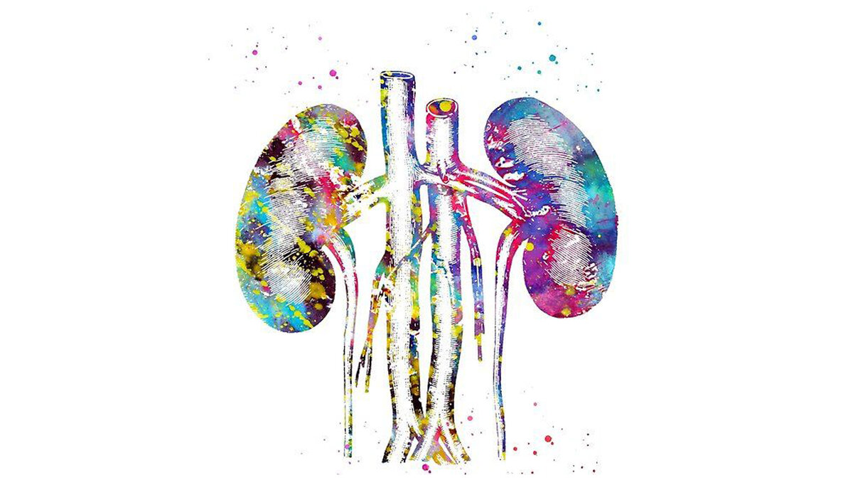 Факторы способствующие развитию мочекаменной болезни. Схема лечения хронического цистита. Как распознать цистит. Цистит и простатит. Цистит определение.