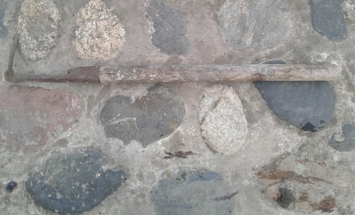 Мы его так и называем однозубик