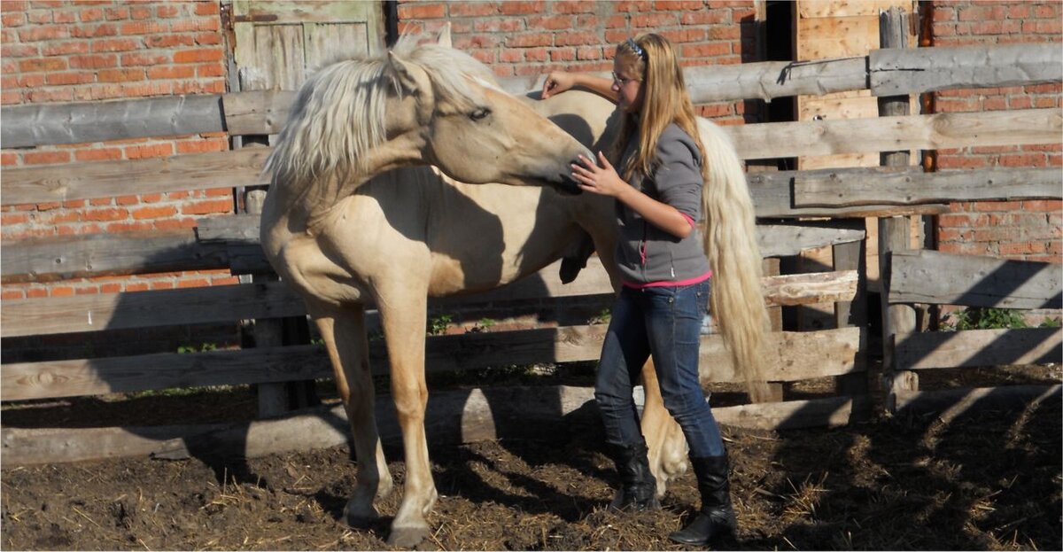 Угнанный у нас в 2013 году белорус. Фото автора