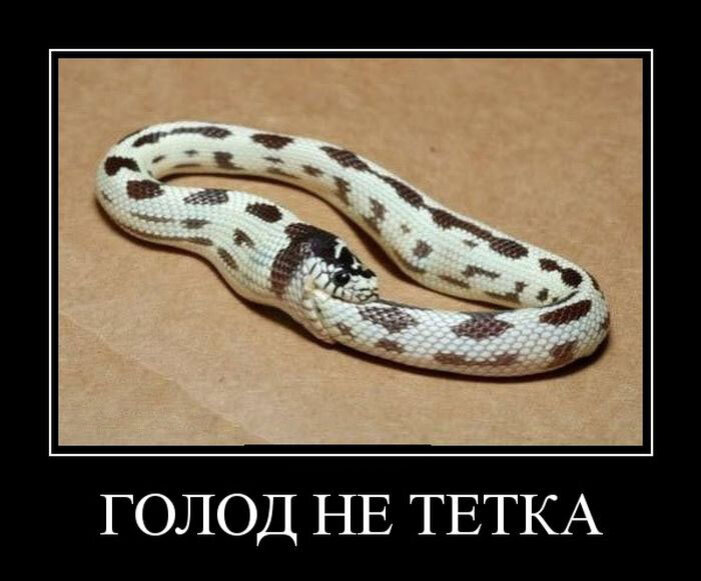 Аутофагия в животном мире)