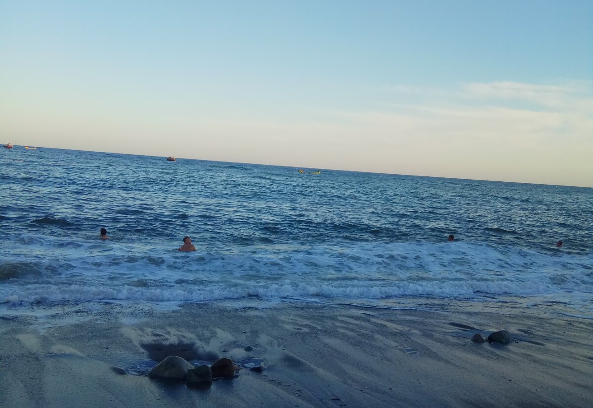 Мои коллеги по купанию