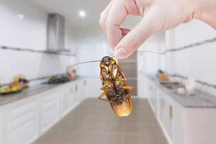 Источник фото Яндекс.Картинки