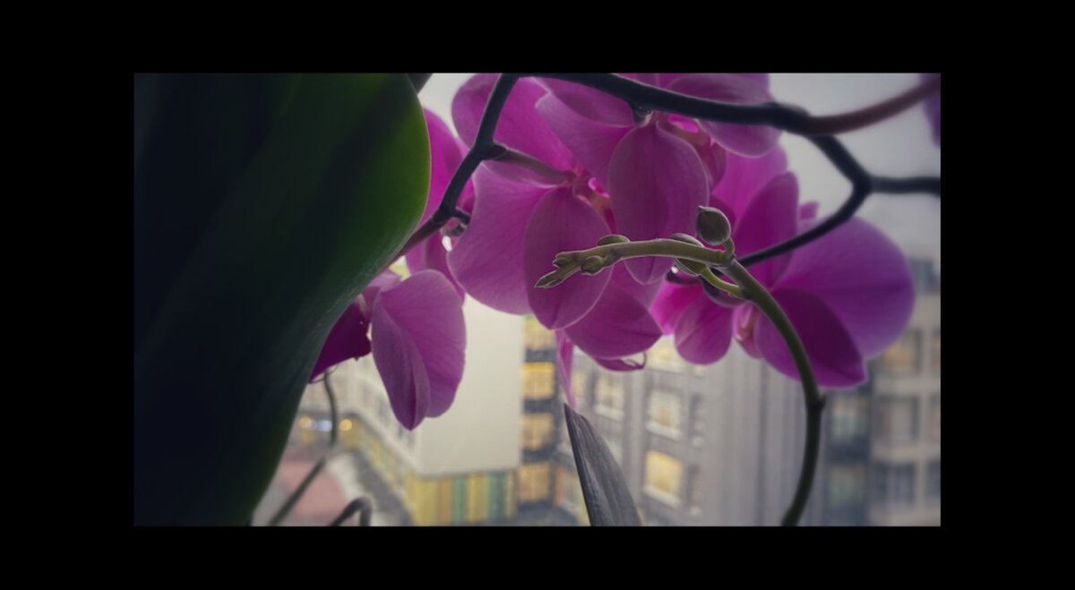 Возможно, единственные 2 вещи, которые я действительно люблю в своём телефоне, это то, что в любой момент я могу сделать кадр, который мне необходимо запечатлеть, и позвонить тем, кого я действительно хочу слышать