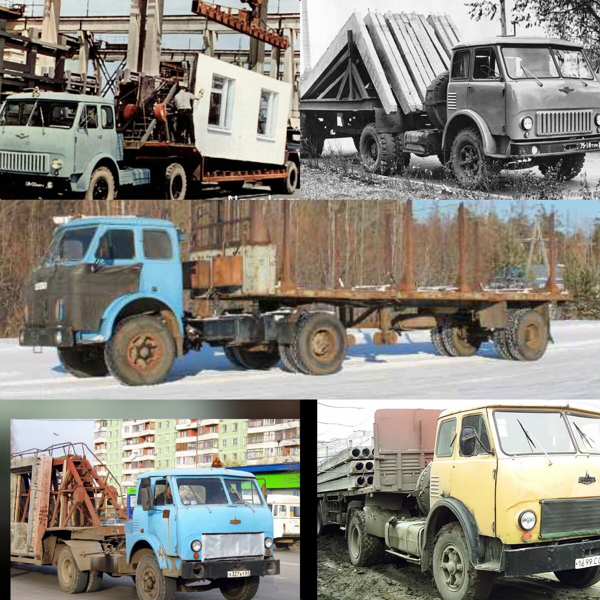 Коллаж для примера, фото из свободных источников.