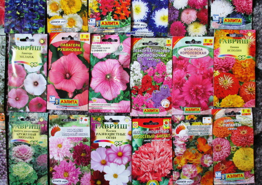 Фото взято из открытого источника