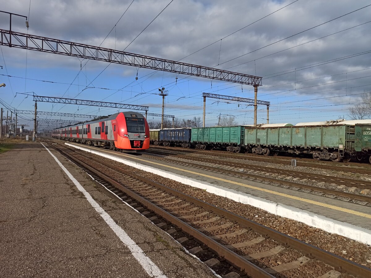 Ласточка в посёлке Ильском 