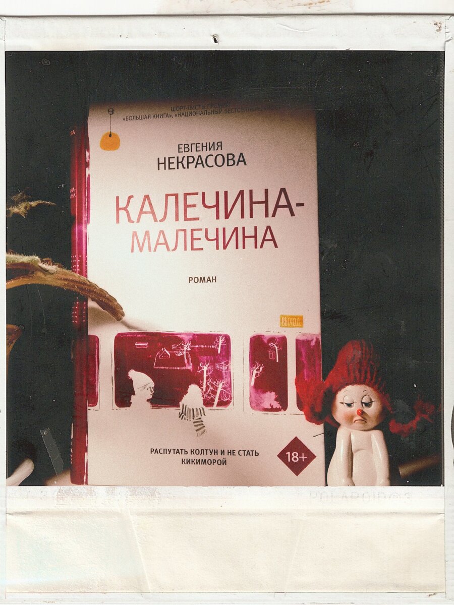 Я таки постаралась и сделала приличное фото книги