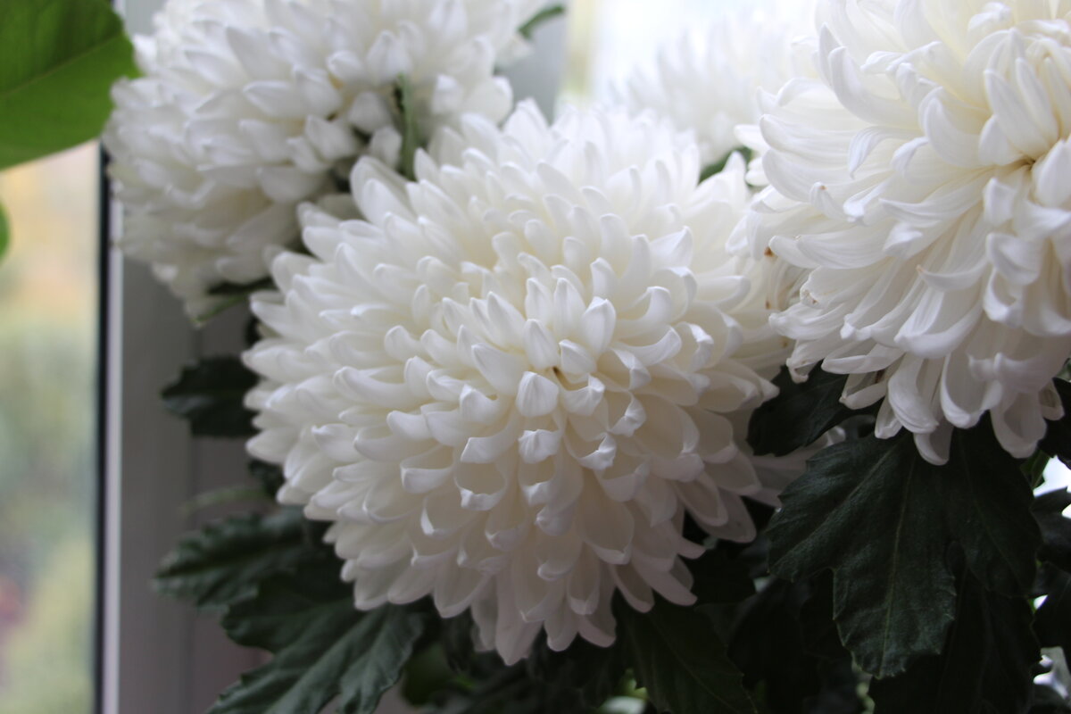 Время, проводимое вами вместе, станет более приятным