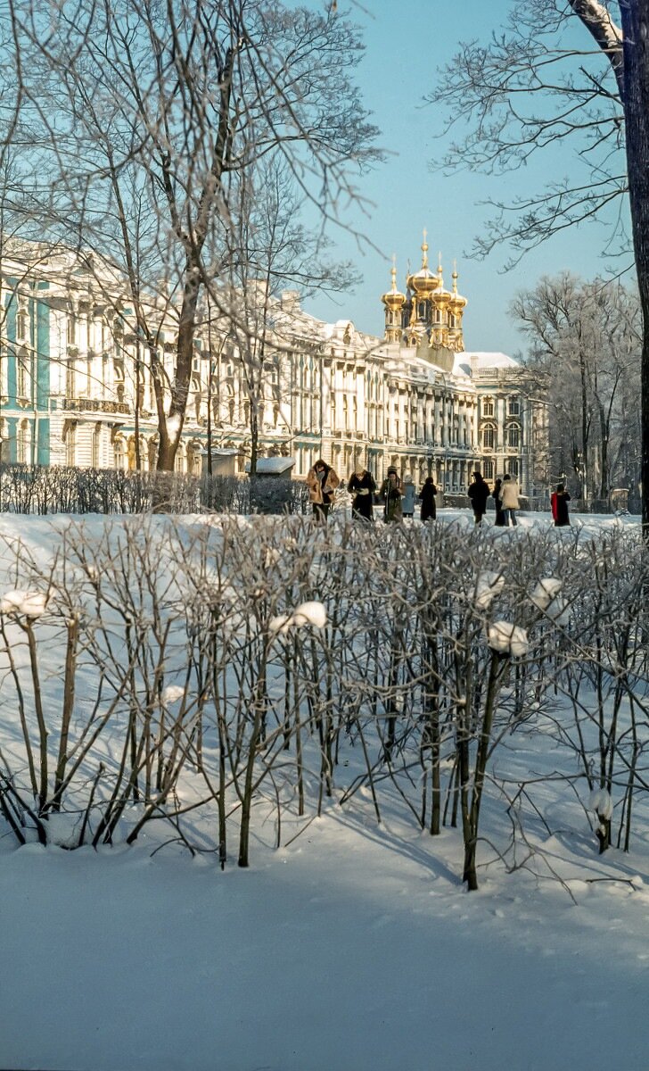 Зима 1976. Зима в петербурге. зима в городе. москва зима 1976. зима в российском городе.