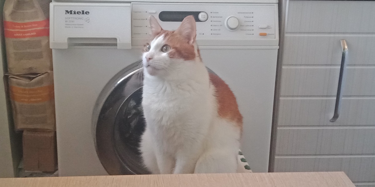 Фото автора.