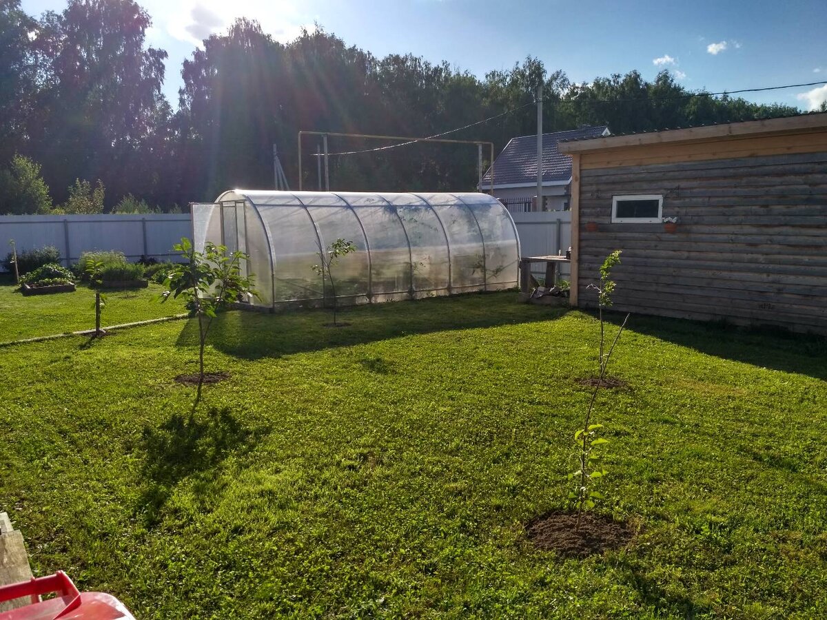 Проект века )