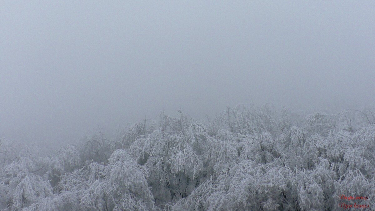 Зимний туман окутал гору Железную