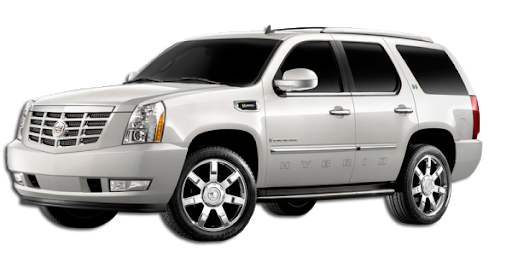 Фото из сети