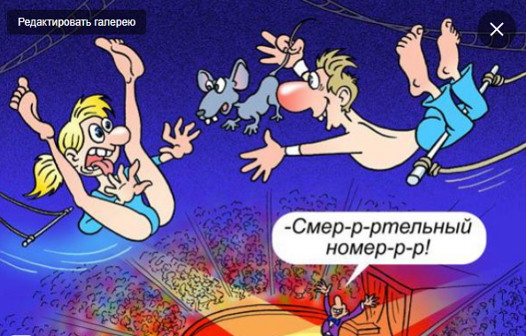  Фото предоставлено из общего доступа