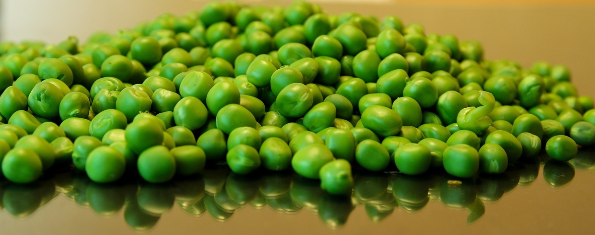 Изображение Gerhard G. с сайта Pixabay