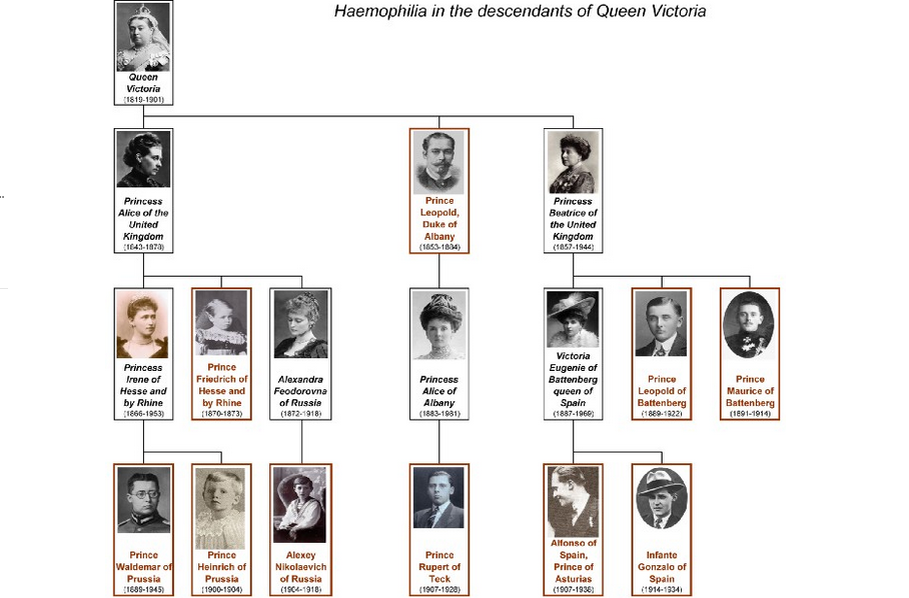 Линия королевской семьи от королевы Виктории, показывающая носителей (черным цветом) и пострадавших (красным). Как видите, его часто носят женщины, а мужчины страдают - Фото: Википедия / Shakko 