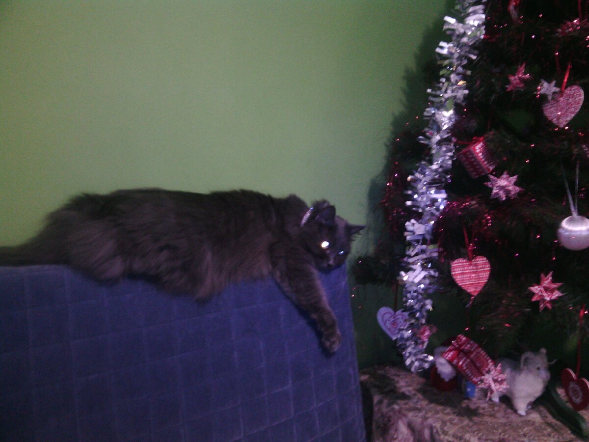 фото из личного архива.