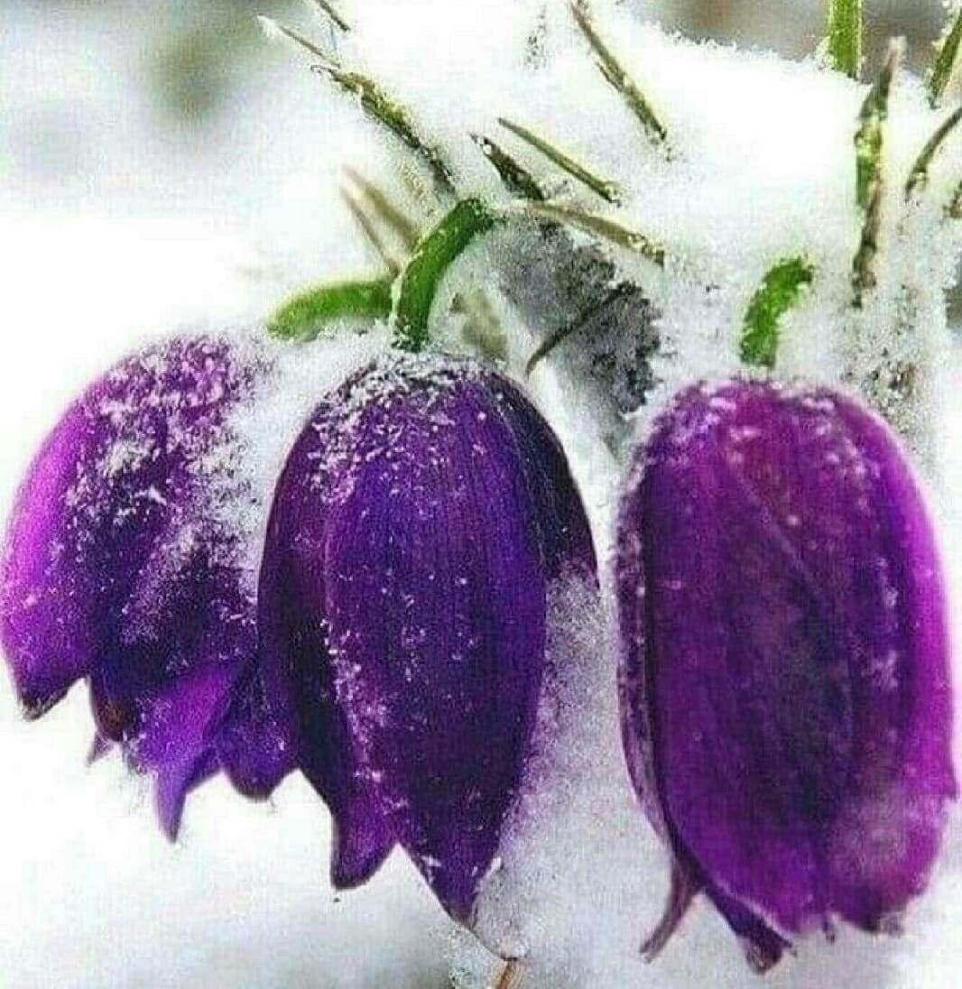 фото из личного архива.