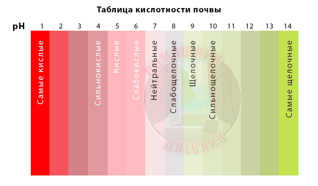 Таблица кислотности почвы: от кислой до щелочной