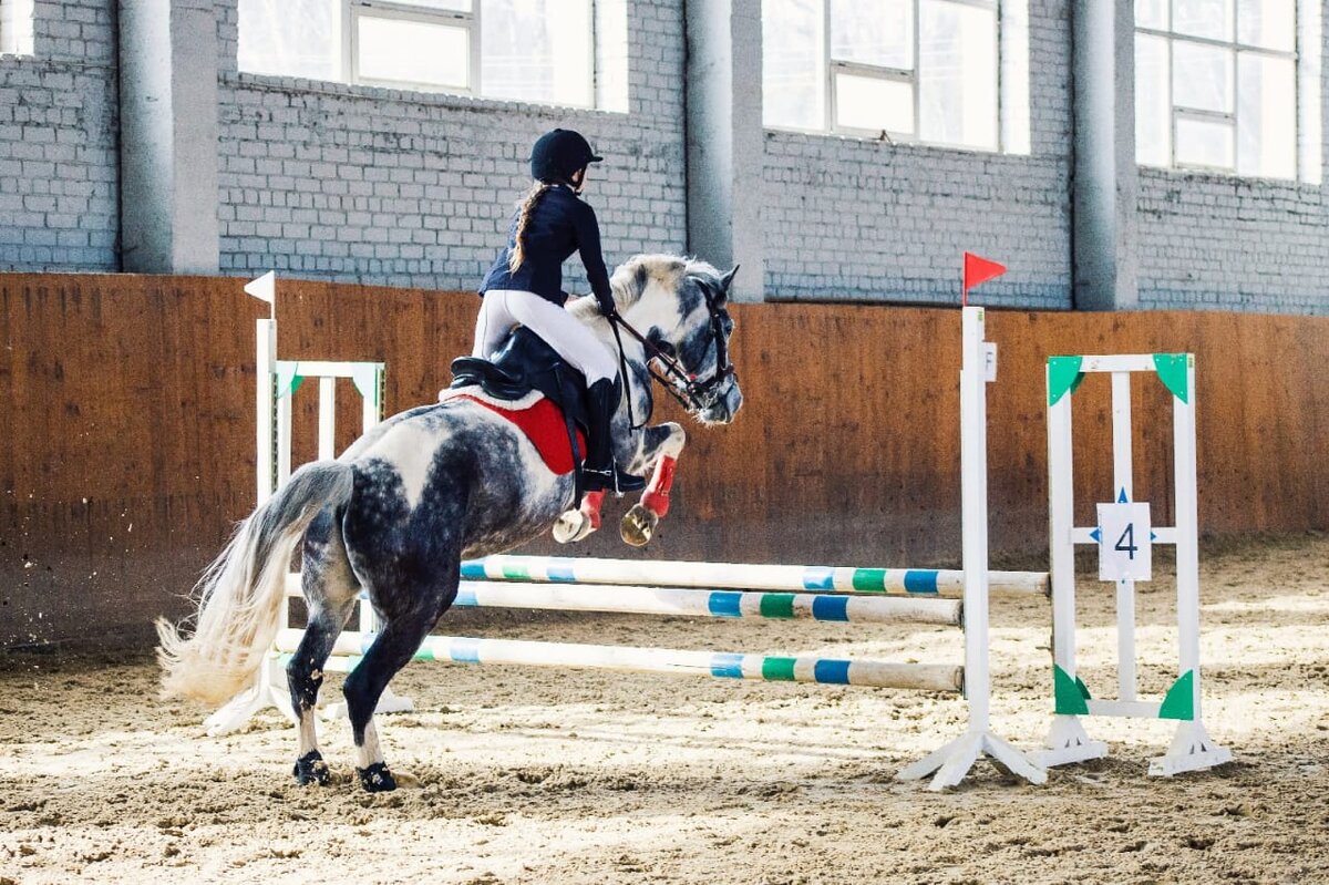 Для спортсмена лошадь – это партнёр. Фотографии конного двора «Вязки»