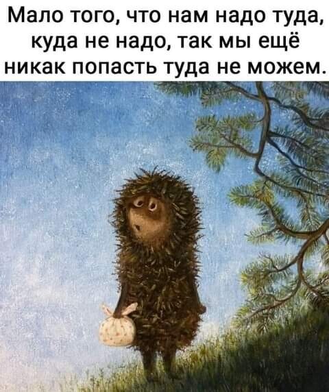 Картинка из свободного доступа в сети Интернет. Для иллюстрации, мотивации, хорошего настроения. И для узнаваемости постов о похудении. 