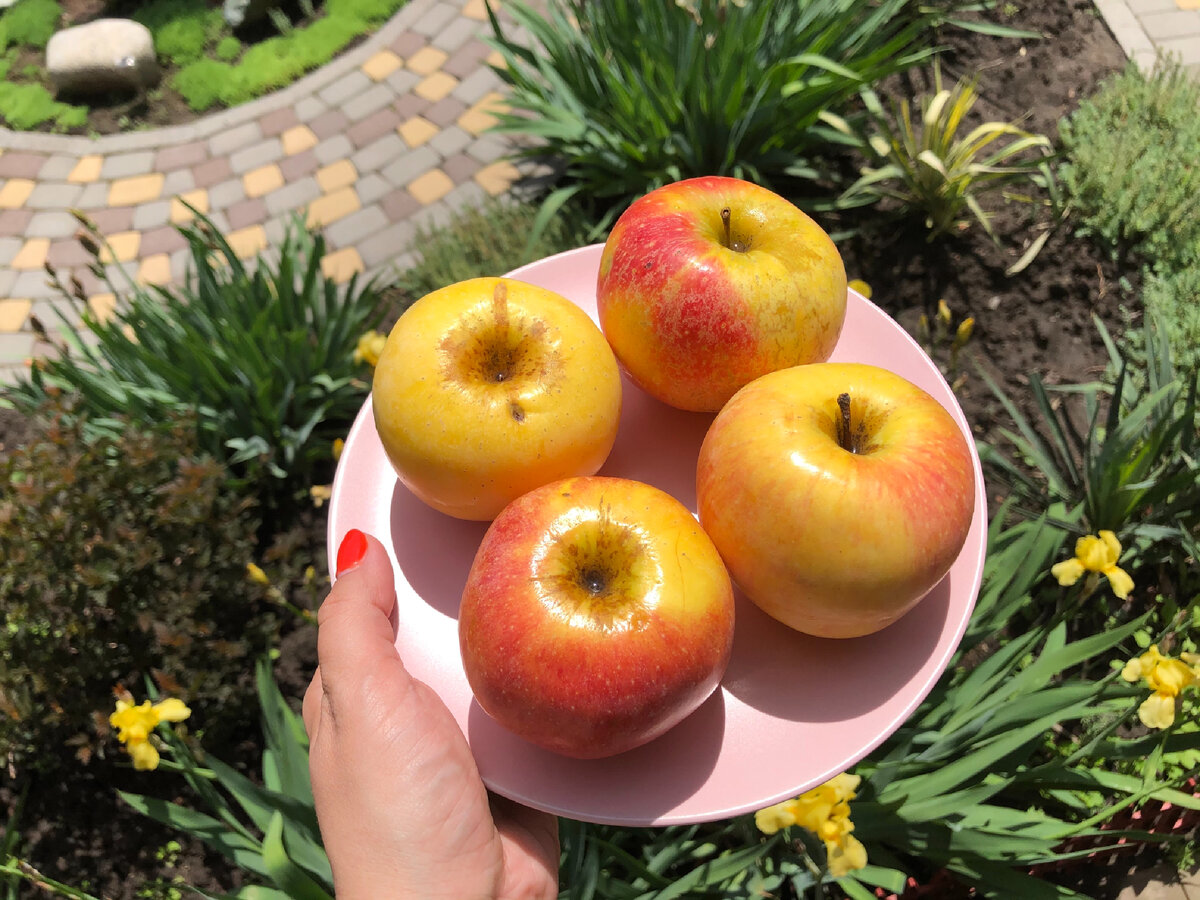 Главные ингредиенты 🍎