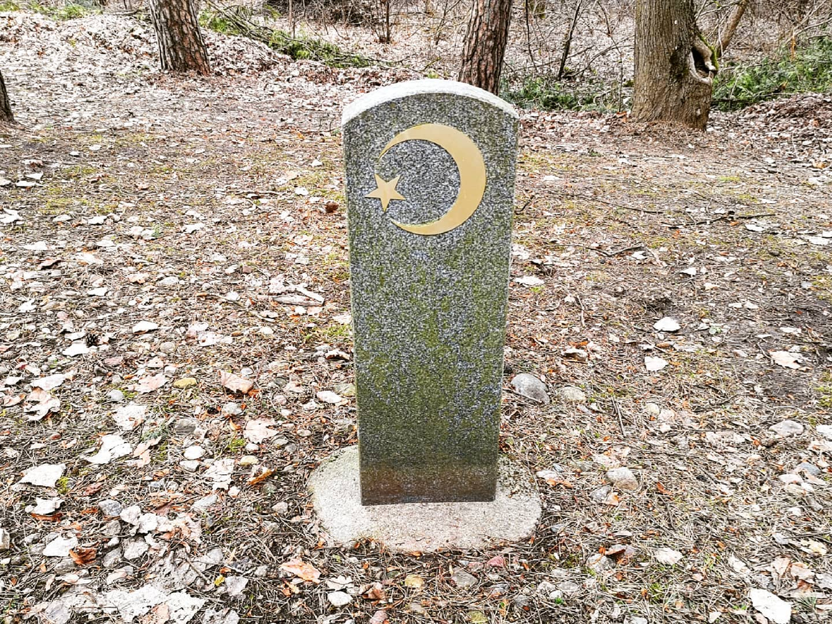 6.