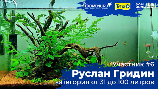 Травник 64 л. Участник №6 в категории от 31 до 100 литра. #Scalariki​ Aquascaping Contest 2021