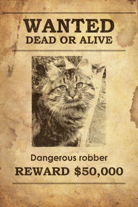 Wanted dangerous