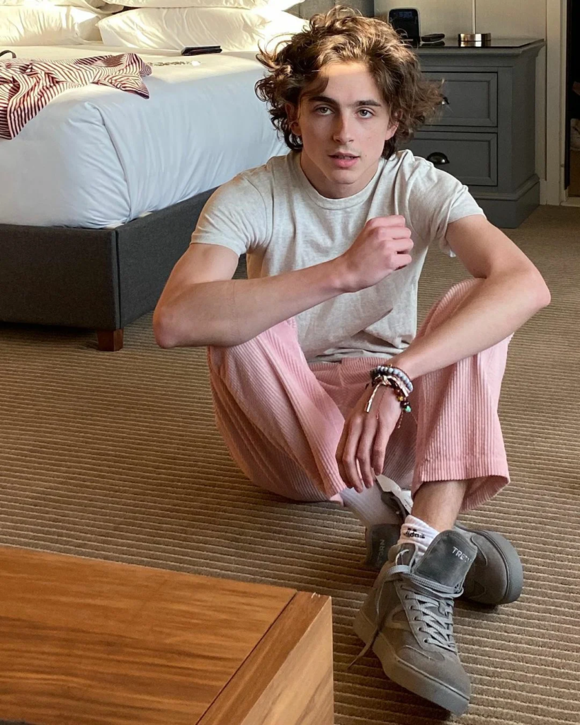 Источник: Instagram @tchalamet