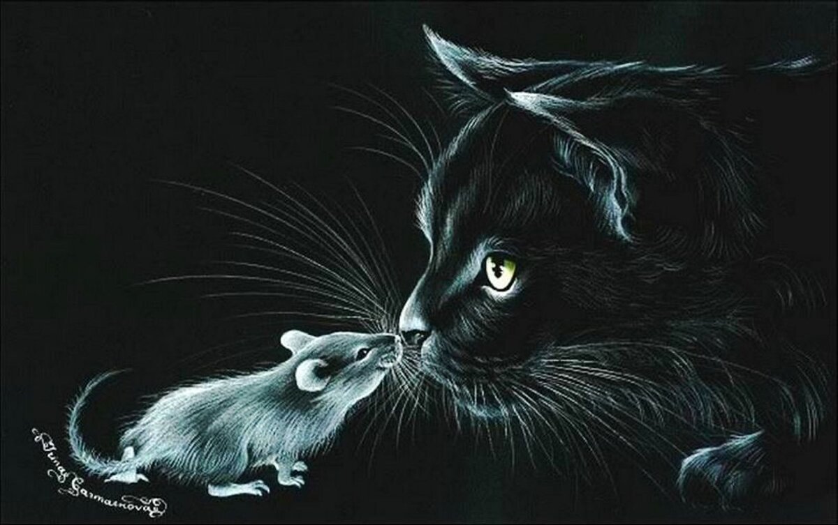 Изображение взято с сайта photo.99px.ru