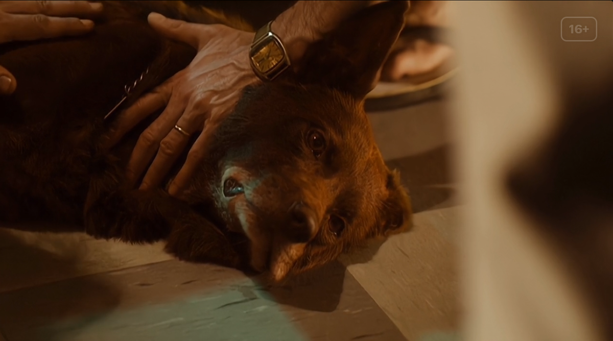 Кадры из к/ф Рыжий пёс(2011)