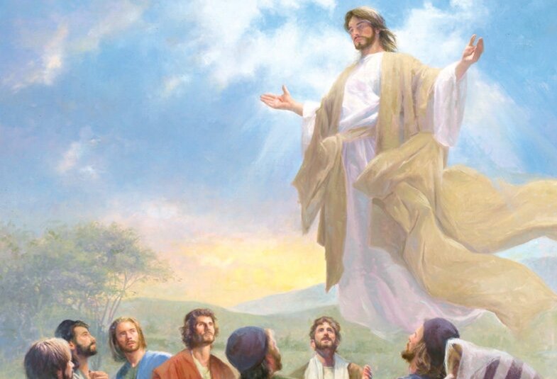 Картинка из открытых источников.