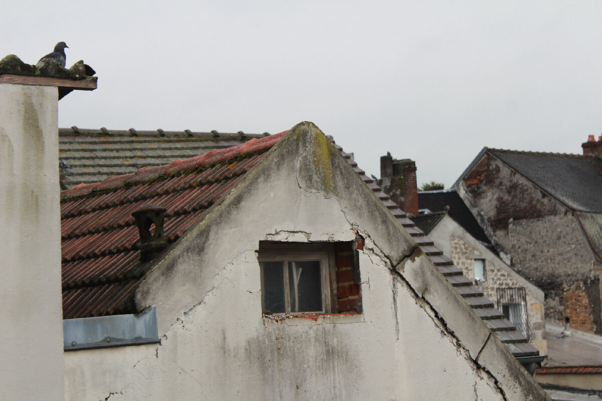 Общий вид (Фото автора)