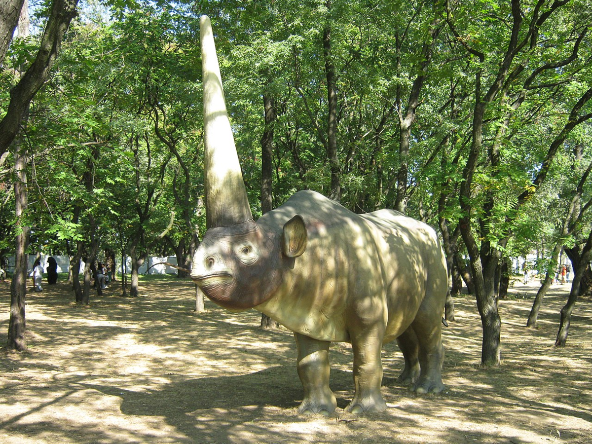 Сибирский единорог фото. Сибирский Единорог (Elasmotherium). Эласмотерий Сибирский. Эласмотерии древний Сибирский носорог. Шерстистый Единорог.