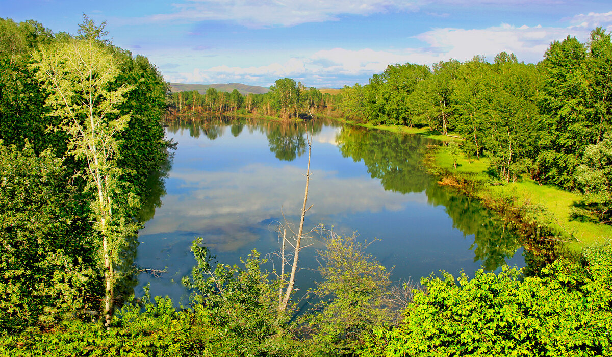 Фотография, стихотворение Василия Глуцкого