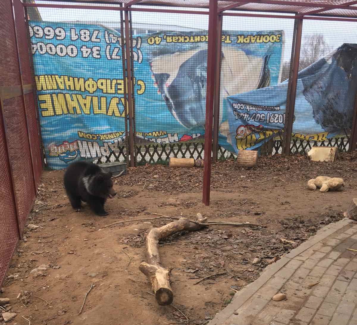 -2