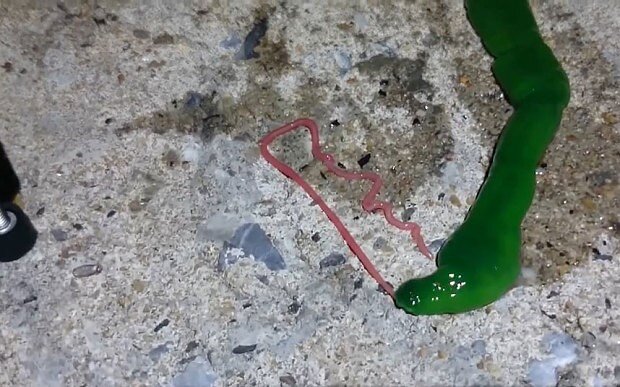 Источник: facebook.com 