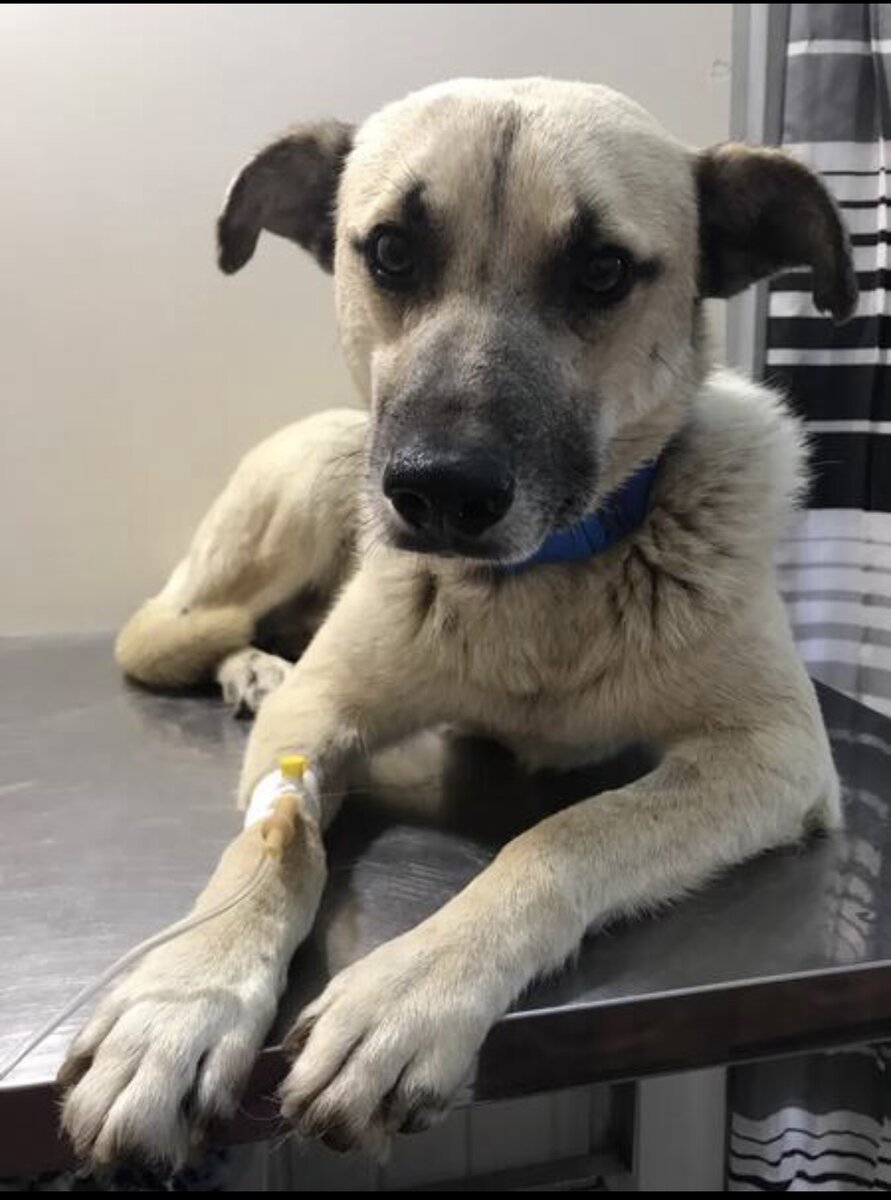 На процедурах 