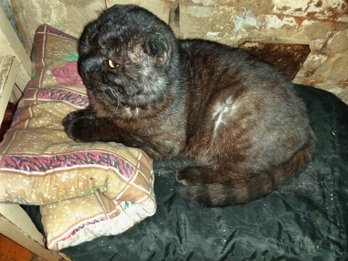 Усейн 26 декабря 2021 г