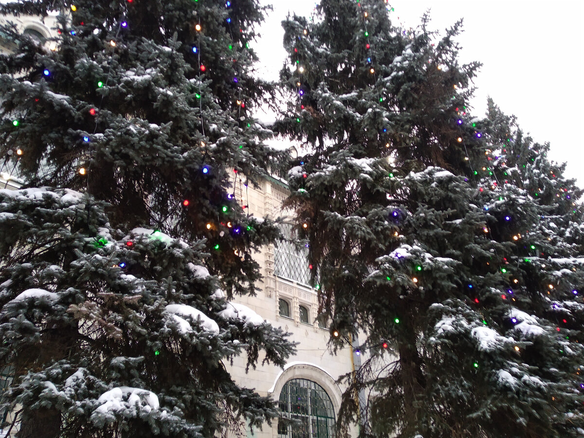 ёлки на Покровке, сегодня хочу сходить туда, детей пофоткать, если, конечно, мой телефончик не помрт от мороза)