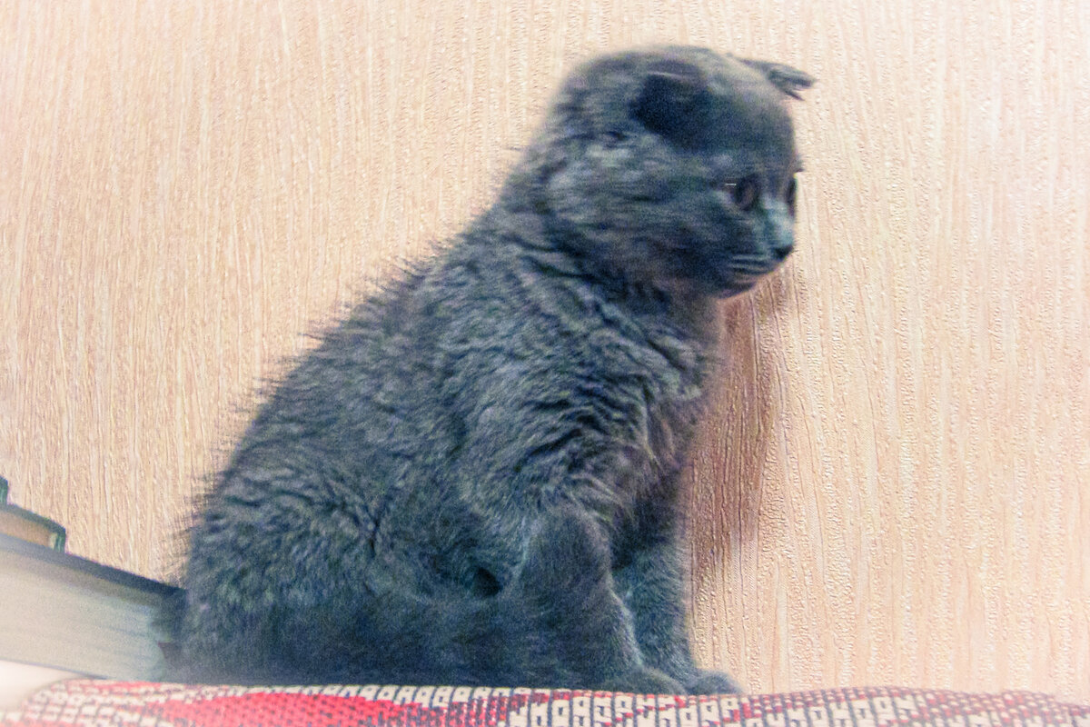 Кажется, я всё ещё немного напуган сменой обстановки