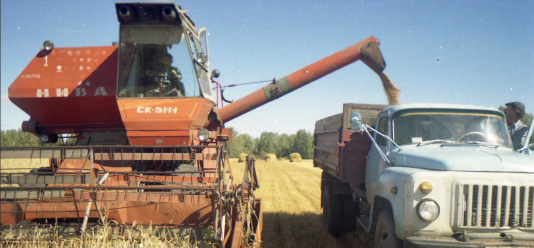 wilkowo.ucoz.ru. Фото с Яндекса.