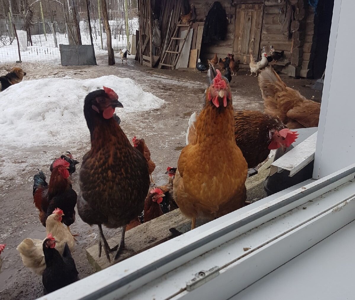 фото нашей подписчицы