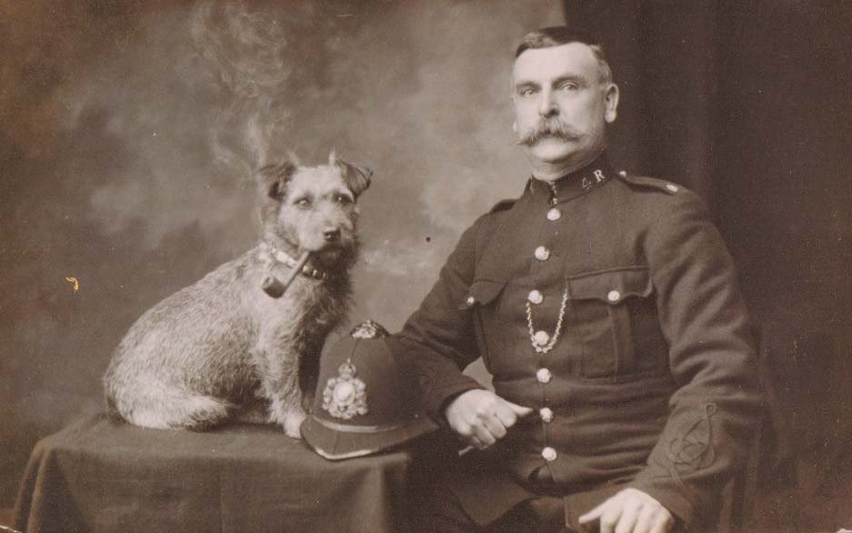 Фото чисто ради самого фото - уж больно кадр колоритный!))